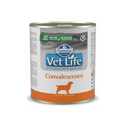 Farmina vet life dog convalescence 300 g Slike