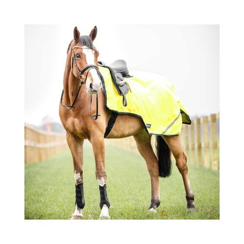 Busse Jahalno pregrinjalo SHINE 100, yellow (navy) - 135 cm Cene