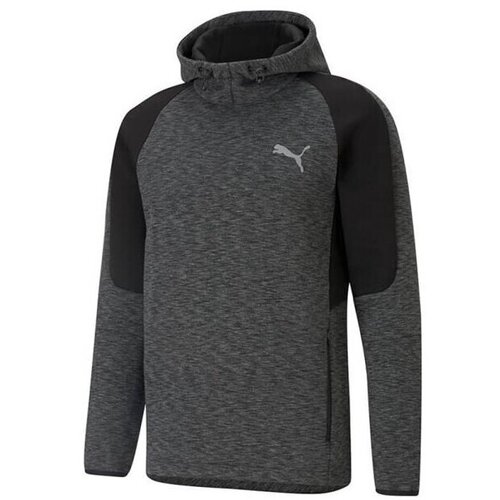 Puma Puloverji Evostripe Hoodie pisana Cene
