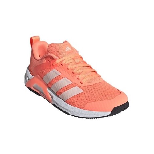 Adidas Nizke superge Dropset Control pisana Slike