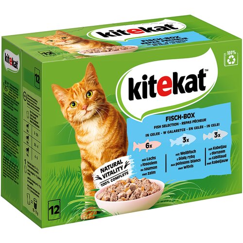 Kitekat vrećice 48 x 85 g - Izbor ribe u želeu Cijene