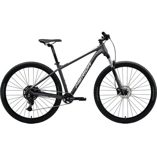 Merida Brdski bicikl BIG.NINE 80 Srebrna Cijene