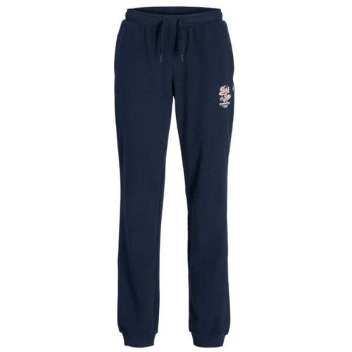 Jack & Jones junior trenerka za decake hood Cene