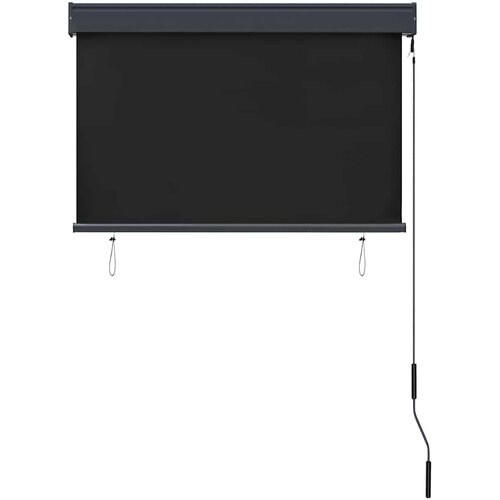  Vanjska roleta 100 x 250 cm antracit Slike