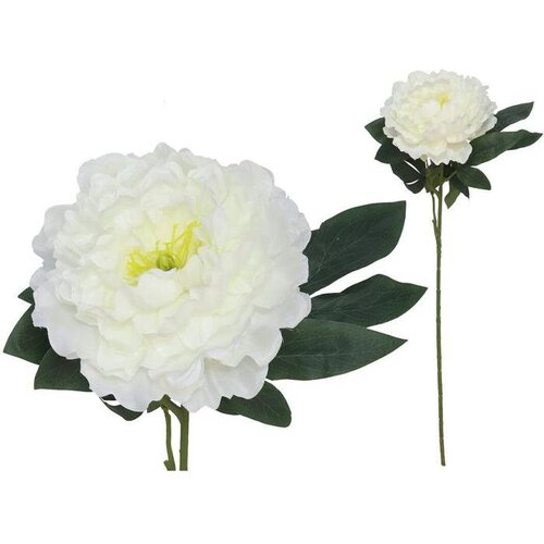  PEONIJA 74CM PVC Slike