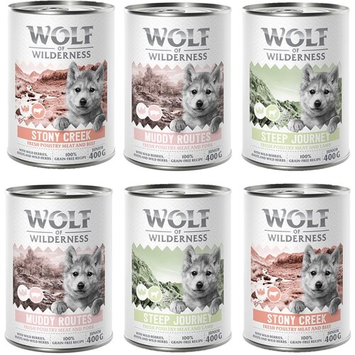 Wolf of Wilderness 10% popust! Mokra pasja hrana mešana pakiranja 6 x 400 g: JUNIOR Expedition Cene
