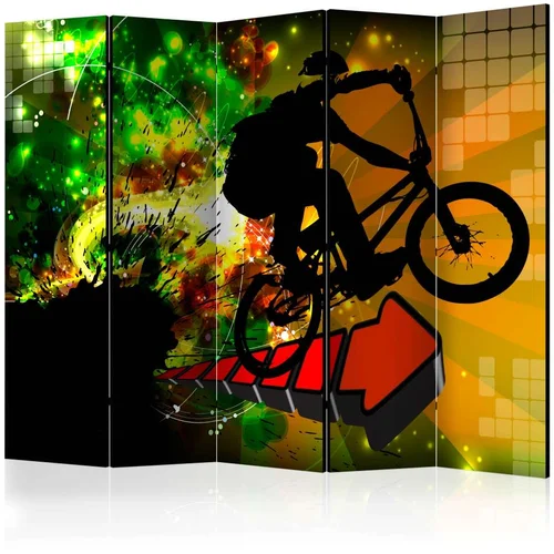  Paravan u 5 dijelova - Bicycle Tricks II [Room Dividers] 225x172