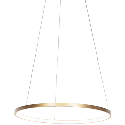 Leuchten Direct Sodobna obročasta viseča svetilka zlata 60 cm z LED - Anella