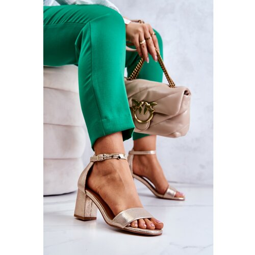 Kesi Fashionable Women's Sandals On A Heel Gold Lucida Cene