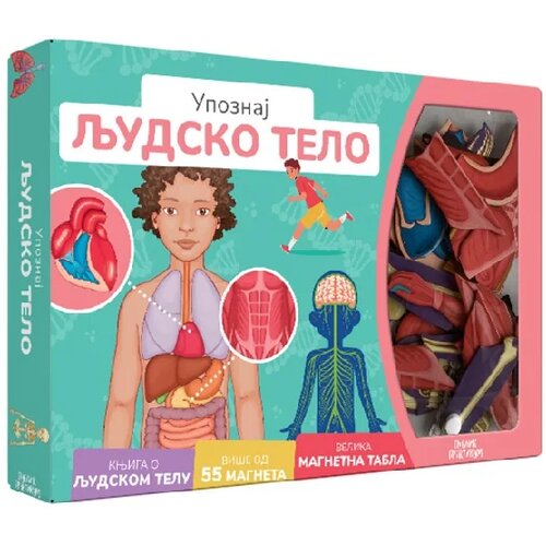 Publik Praktikum Upoznaj ljudsko telo Cene