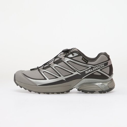 Salomon Modne superge Xt Pathway Gtx Srebrna Cene