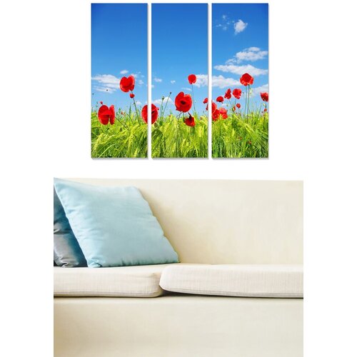 Wallity Set slika MDF96171398, 3 dijela Cene