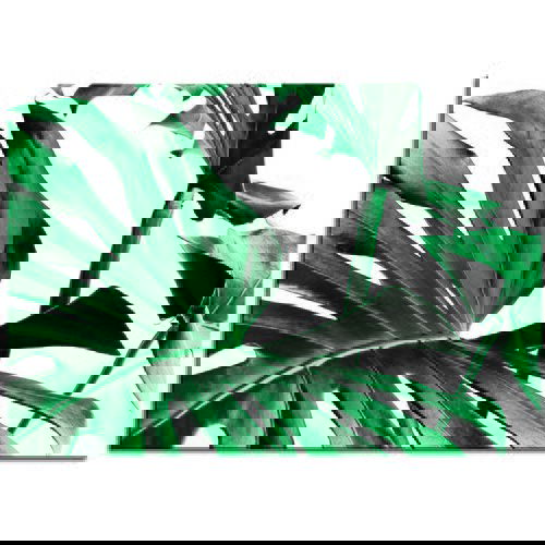 Pintdecor Zidni ukras Dettaglio Cene