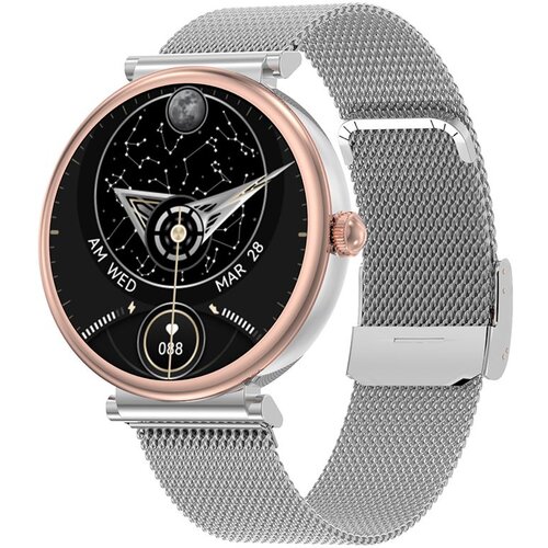  Smart watch sa silikonskom narukvicom DT109/ srebrna Cene