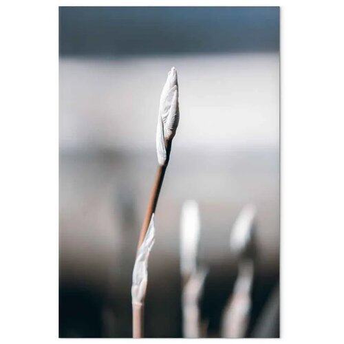  Slika - Botanical Minimalism (1 Part) Vertical 60x90 Cijene