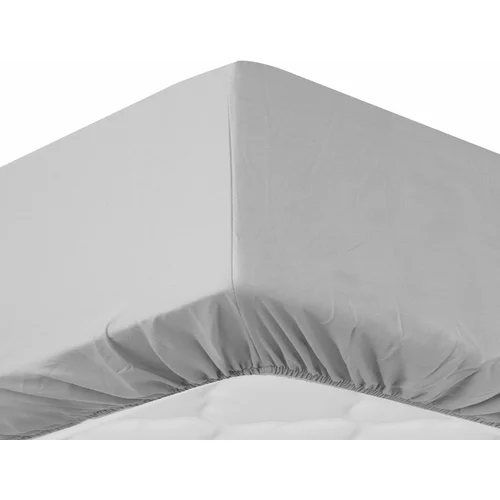 sleepwise Soft Wonder-Edition, elastična plahta za krevet, 180 – 200 x 200 cm, mikrofibra, svetlo sivá