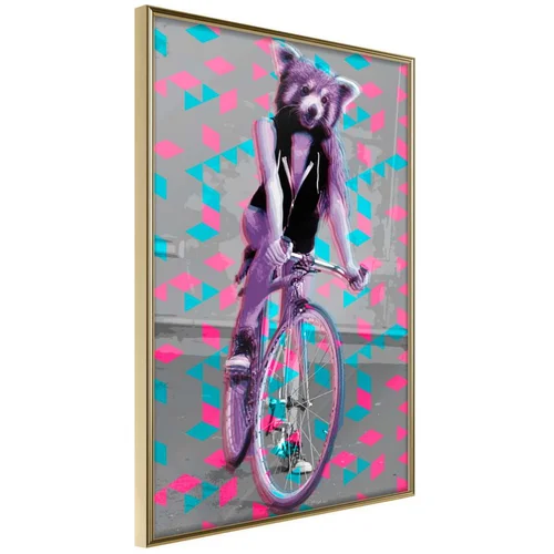  Poster - Extraordinary Cyclist 20x30