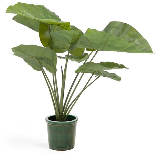 Kave Home Umjetna biljka (visina 57 cm) Odora – Cijene