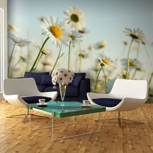  Tapeta - Daisies - spring meadow 450x270 Cijene