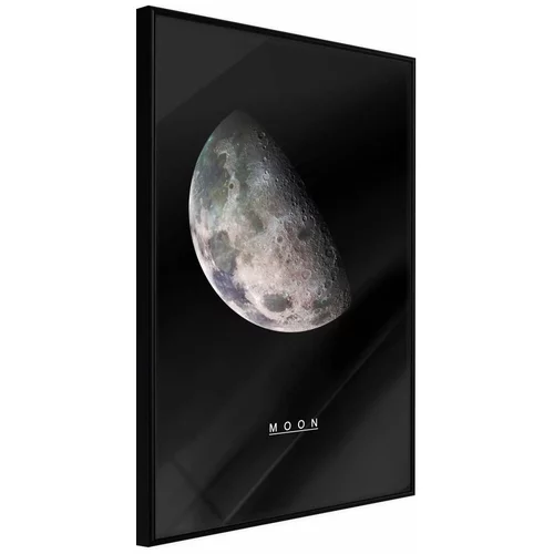  Poster - The Solar System: Moon 30x45