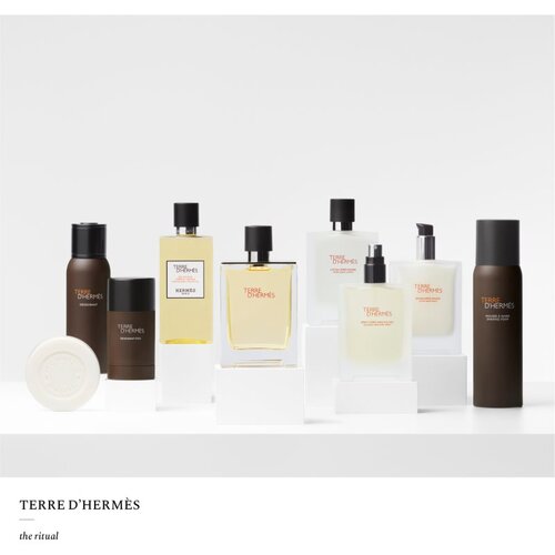 Hermes Terre d&amp;rsquo;toaletna voda polnilo za mo&amp;scaron;ke 125 ml Slike