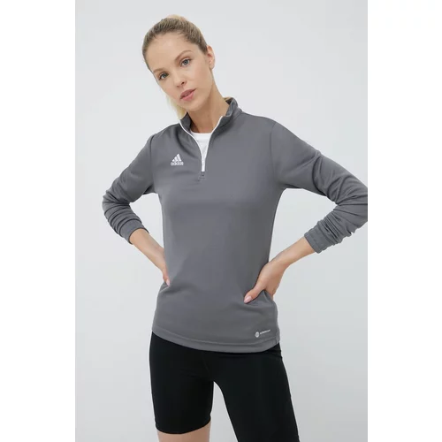 Adidas Majica dugih rukava za trening Entrada 22 boja: siva