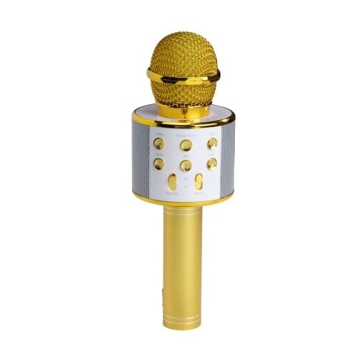 Denver Mikrofon KMS-20GOMK2 Bluetooth ZLATNI Cene