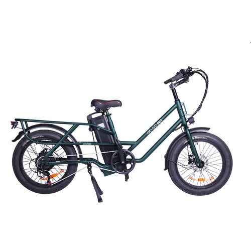Gogobest Električno prtljažno tovorno kolo GF200, 48V 15,6Ah, doseg 60km, zeleno, (5000008961) Cene