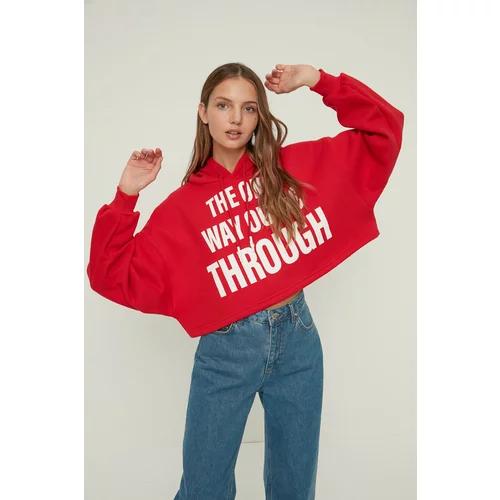 Trendyol Women's hoodie Knitted