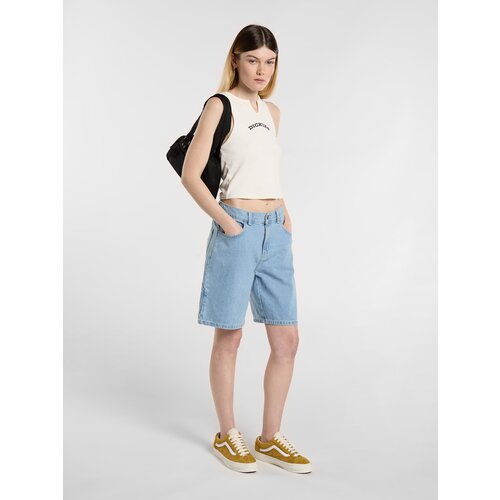 Dickies DK0A4YSG Slike
