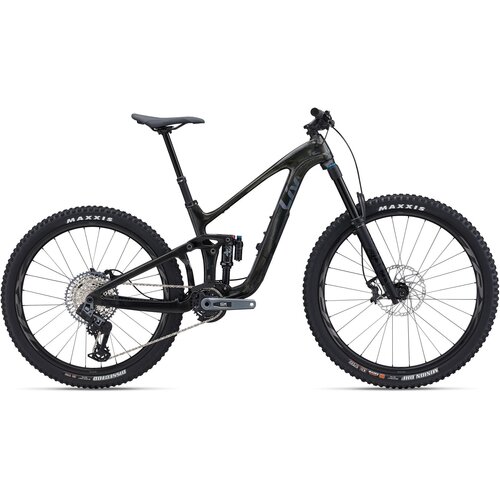  Bicikl LIV Intrigue LT Advanced 1 Raw Carbon - S Cijene