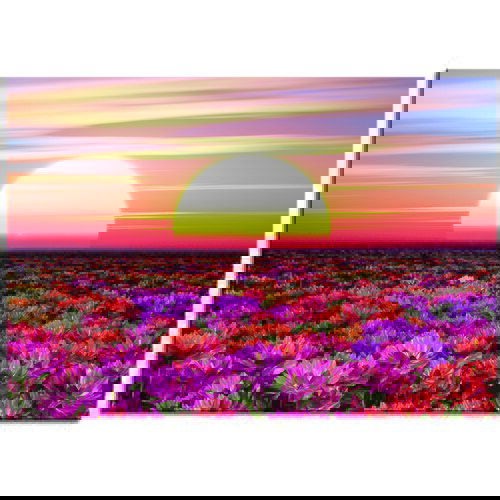 Pintdecor Zidni ukras Tramonto tra i fiori Slike