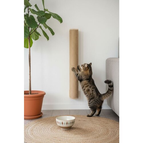 Paws & Whiskers grebalica za mačke malta 50, bež Cene