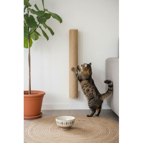 Paws & Whiskers Grebalica za mačke Malta 50, bež Cene