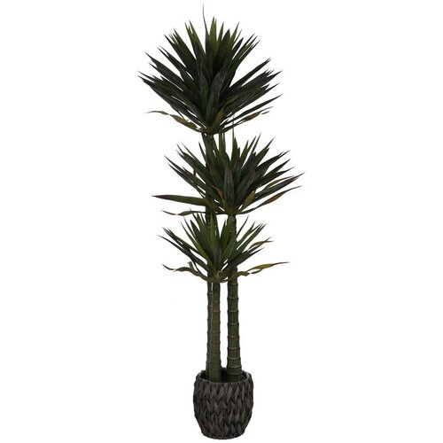  Umjetna juka 170 cm Slike
