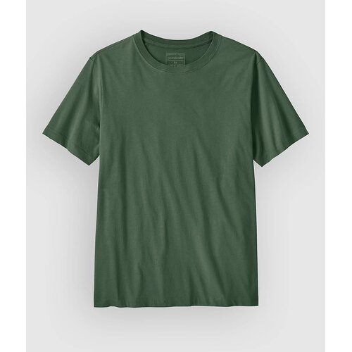 Patagonia Daily T-shirt canopy green Cene