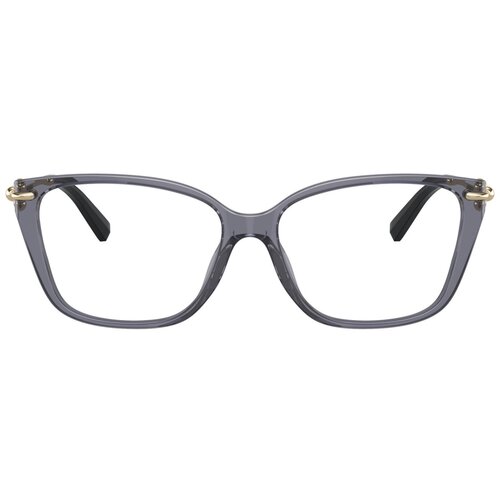 Tiffany Naočare TF 2248K 8405 Cene