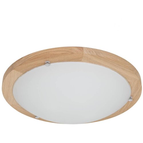  Spot-Light 4753474 - Plafonsko svetlo FRIDA 2xE27/40W/230V Cene