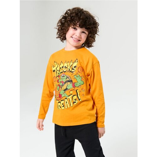 Sinsay Majica dugih rukava Teenage Mutant Ninja Turtles Slike