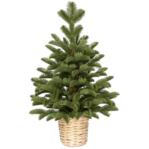  Novogodisnja jelka u saksiji zelena 60cm 250310 Slike