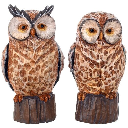 Signes Grimalt Kipci in figurice Slika Owl 2 Enote Kostanjeva Slike