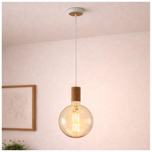 Eglo 49071 - visilica na sajli tavistock 1xE27/40W/230V Cene