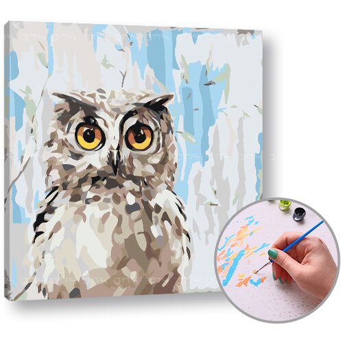  Slikanje po brojevima MUDRA SOVA - Level Starter 50x50 cm | bez okvira Cijene