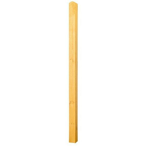  Leseni steber regensburg (190 cm, bor) Slike