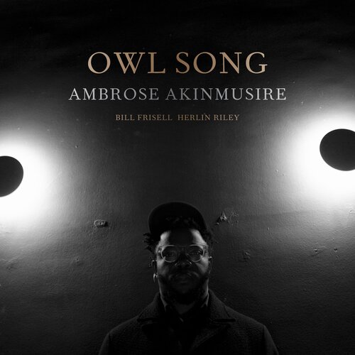 Warner AKINMUSIRE A.- LP/OWL SONG, (20997030) Cene