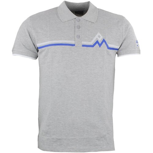 Peak Mountain Polo majice kratki rokavi Polo manches courtes homme CRISTAL Siva Cene