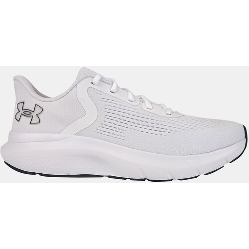 Under Armour Men's shoes UA Charged Rogue 5 - Men's Cijene