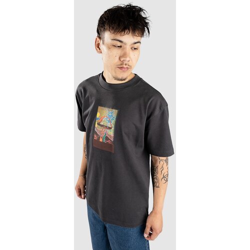 Rvca Sage Shroom T-shirt washed black Cene
