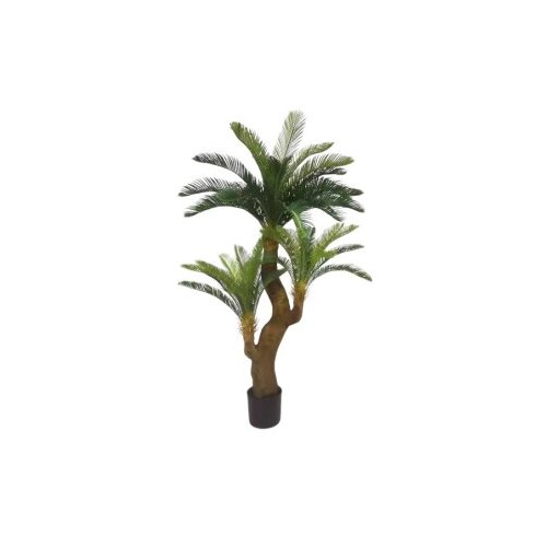 Dekordom cvet u saksiji - cycad n60 - 125cm ( 025147 ) Cene