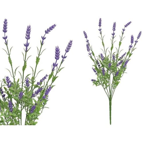 LAVANDA LJUBIČASTA 49 CM PVC Slike